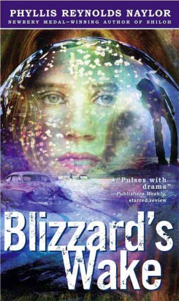 Blizzard's wake / Phyllis Reynolds Naylor.