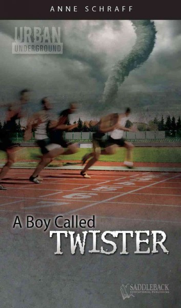 A boy called Twister / Anne Schraff.