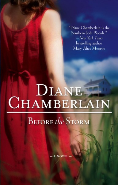 Before the storm [Paperback]