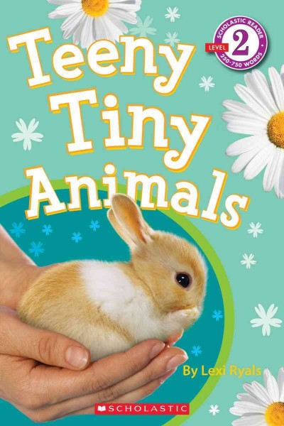 Teeny Tiny Animals  Paperback{PBK}