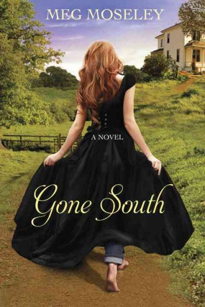 Gone South :  a novel / Meg Moseley.