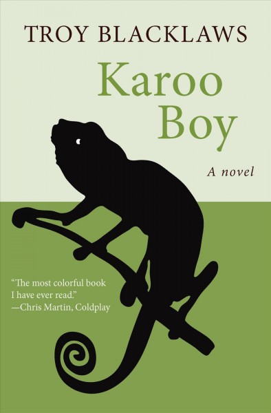 Karoo boy [electronic resource] : a novel / Troy Blacklaws.