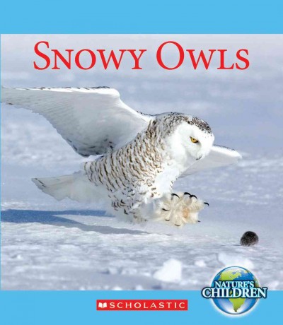 Snowy owls / by Jennifer Zeiger.