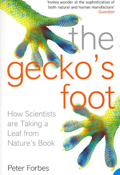 The gecko's foot how scientists are taking a leaf from nature's book Peter Forbes