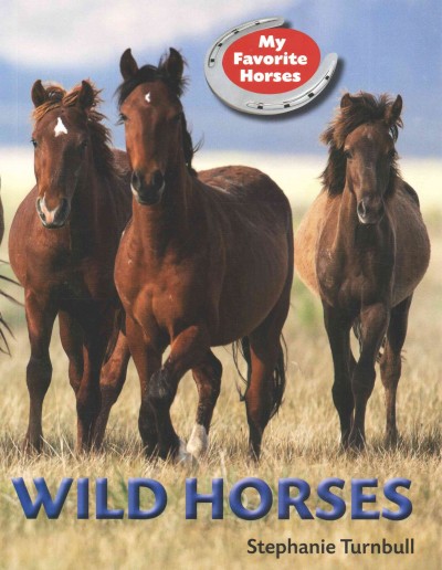 Wild horses /  Stephanie Turnbull.