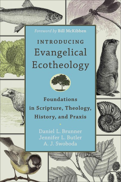 Introducing Evangelical Ecotheology : foundations in Scripture, theology, history, and praxis / Daniel L. Brunner, Jennifer L. Butler, and A.J. Swoboda [foreword by Bill McKibben].