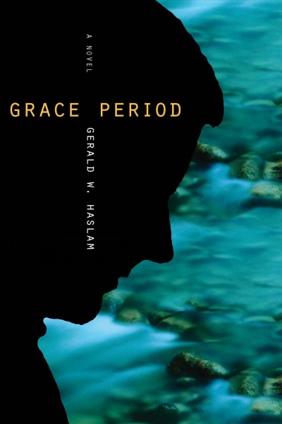 Grace period : a novel / Gerald W. Haslam.