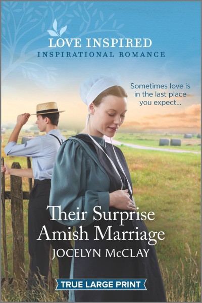 Their surprise Amish marriage [text (large print)] / Jocelyn McClay.