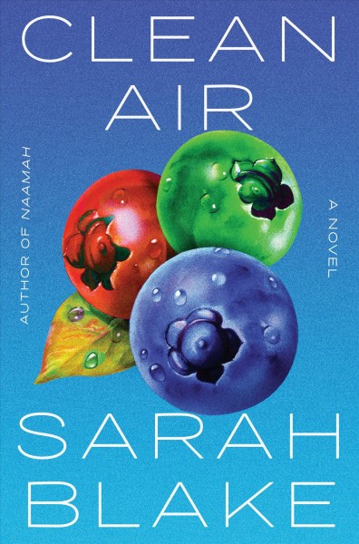 Clean air : a novel / Sarah Blake.