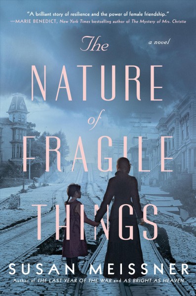 The nature of fragile things / Susan Meissner.