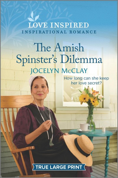 The Amish spinster's dilemma / Jocelyn McClay.