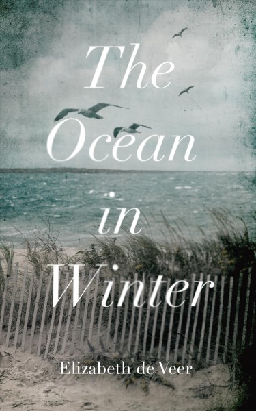 The ocean in winter [electronic resource] / Elizabeth de Veer.