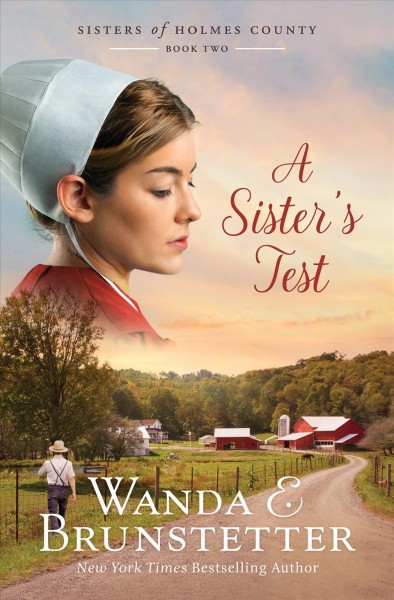 A sister's test / Wanda E. Brunstetter.