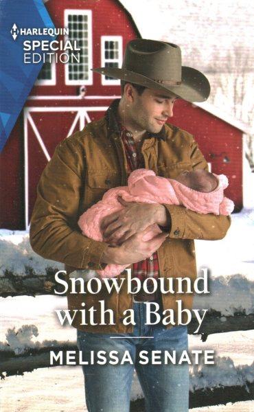 Snowbound with a baby / Melissa Senate.