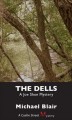 The Dells : a Joe Shoe mystery  Cover Image