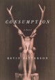 Go to record Consumption : a novel