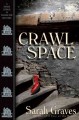 Crawlspace Cover Image