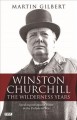 Winston Churchill the wilderness years : speaking out against Hitler in the prelude to the war  Cover Image
