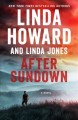 Go to record After sundown : a novel