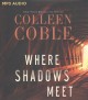 Where Shadows Meet Cover Image